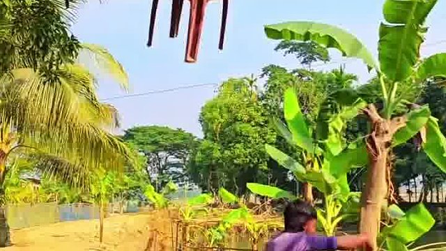 阿三憨态笑到容颜衰