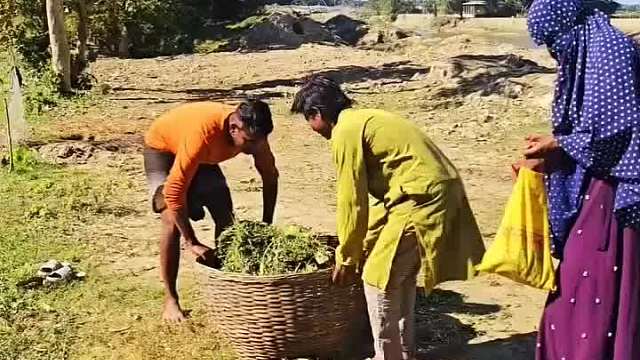 阿三傻事笑到道德沦