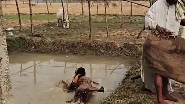 阿三奇葩笑到心灵伤