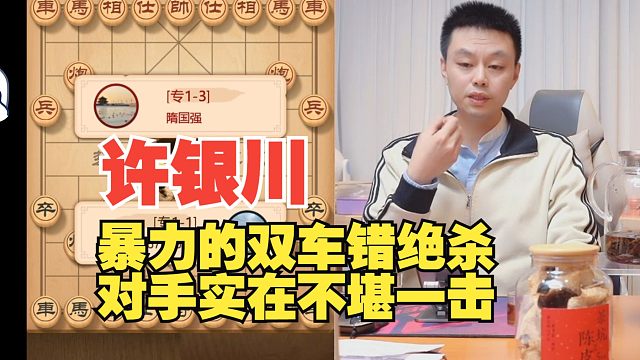 许银川暴力的双车错绝杀，对手不堪一击啊