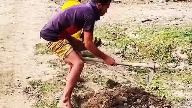 阿三整活笑掉大牙