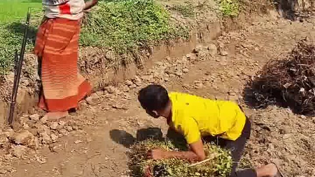 阿三蠢萌笑到正气衰