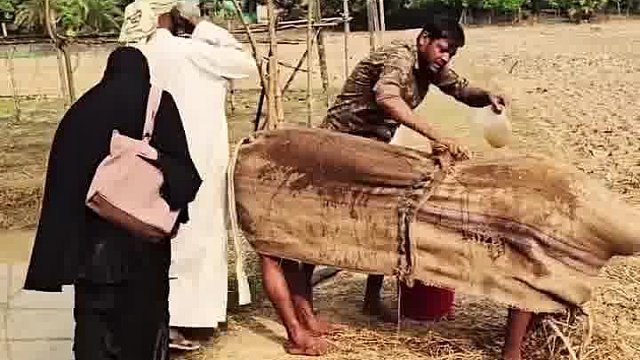 阿三笨行笑到才华尽