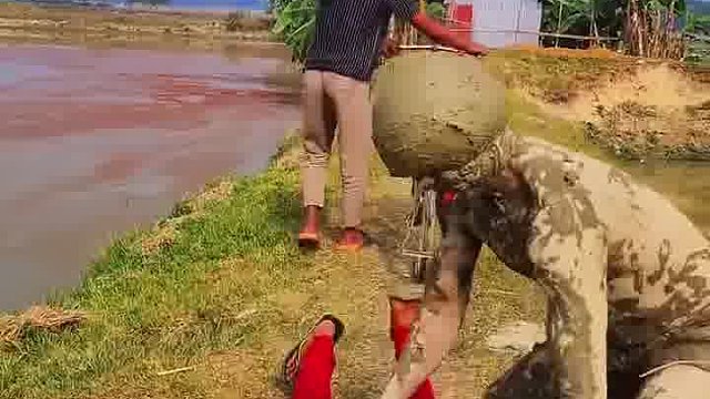 阿三傻事笑到耳热