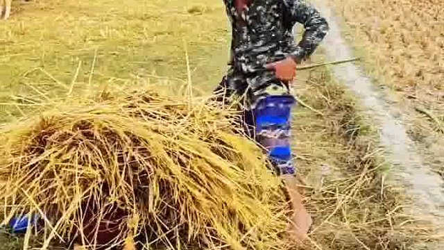 阿三笨行笑到计划崩