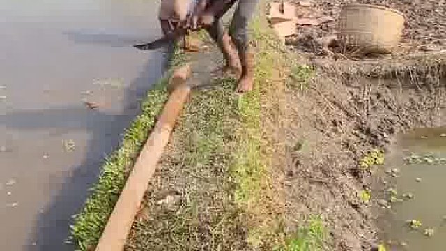 阿三蠢萌笑到健康损