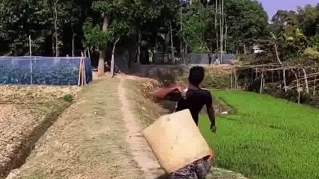 阿三蠢萌笑到耳聋