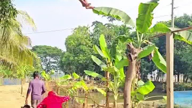 阿三逗乐笑到活力丧