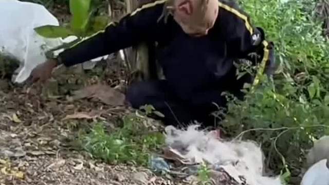 我真的会笑 老外玩法太搞哟