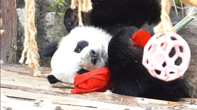 洗好脸脸，准备和姨姨贴贴~