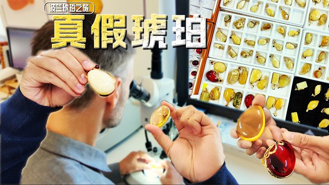 【陈睿】成品虫珀究竟是怎样炼成的？和我去波兰虫珀鉴定实验室与加工厂一探究竟！