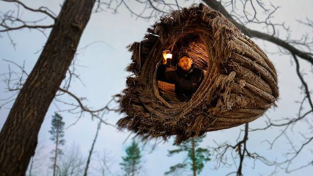 冬季的灌木丛林很潮湿，我索性在树上建造芦苇生存巢穴，安全舒适还奢华