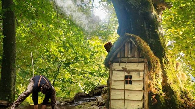 丛林里的参天古树，被我在树根下建造出了庇护所，还真方便钓鱼野外生存