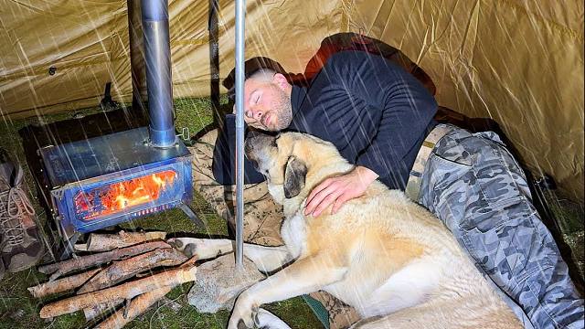 和我的狗面对一场突如其来的暴风雨，躲在帐篷里面，畅享暴雨中的露营