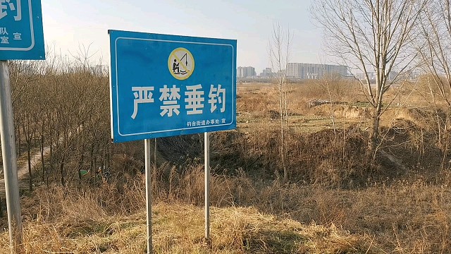 此处无声胜有声