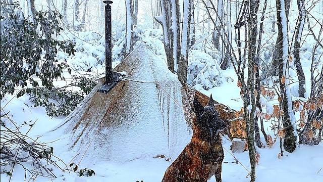 森林里冰天雪地，更可怕的是寒风刺骨，牛人却靠着顶帐篷和狗子极限野营