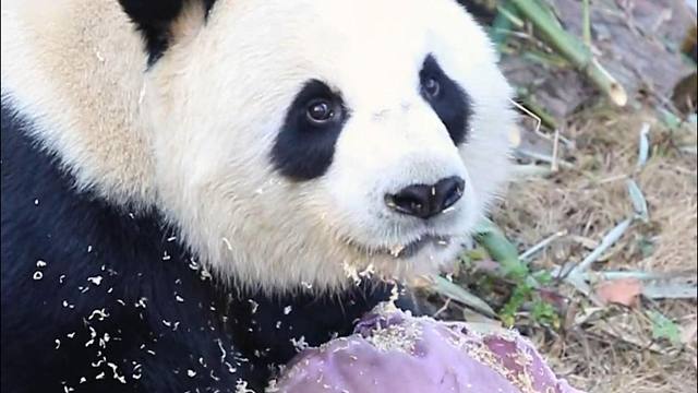 这是谁家的熊孩子呀