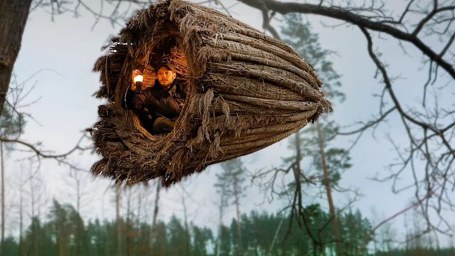 天寒地冻，小伙独自一人荒野生存，为躲避极寒之夜和野兽袭击，就地取材在树上下挂庇护所