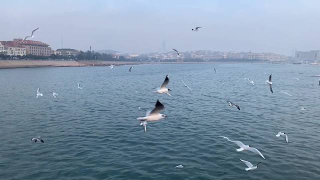 说过的一起看海