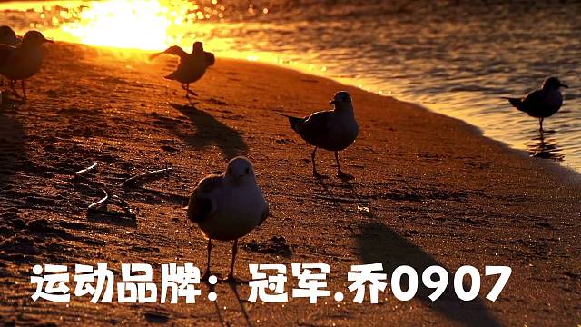 冠军.乔0907为热爱记录美好生活