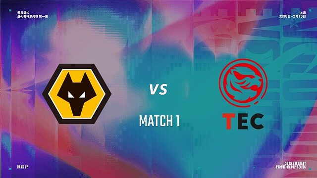 【回放】WOL vs TEC-1 进化者杯第一幕