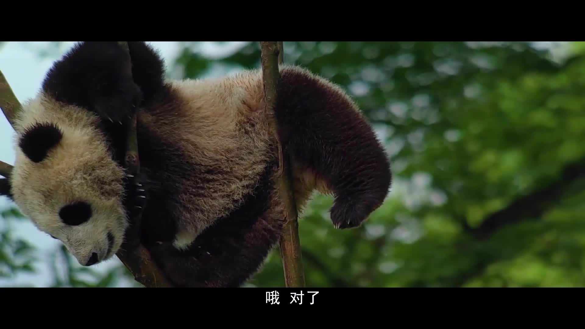 《古都对话》第3期 山河的滋养