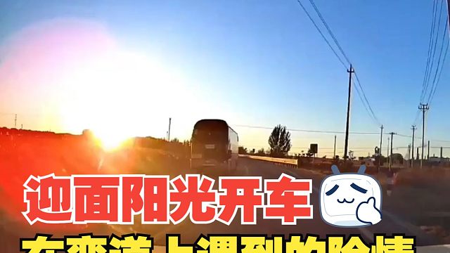 迎面阳光开车，在弯道上遇到的险情，得出6个经验值得我们深思