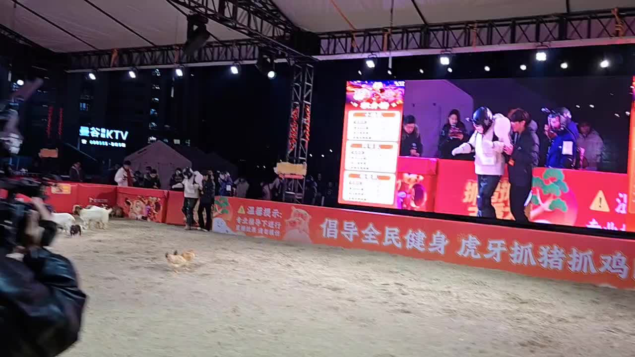 抓猪抓鸡主播大赛，我看看阿布和骚俊队谁能获胜？