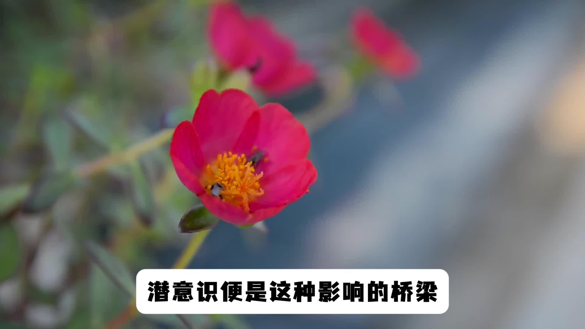 我发布了一个新视频，快来围观吧！