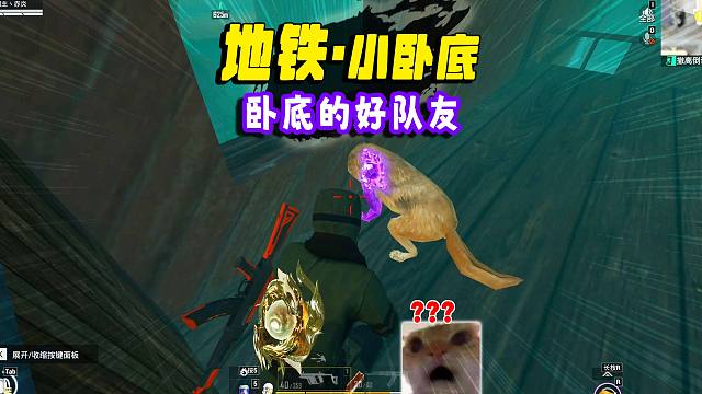 卧底刚下电梯就捡到免费的6级甲，小狼来给我爆点！