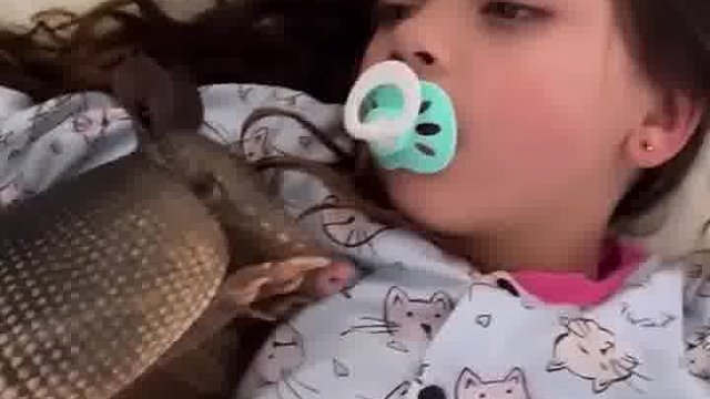 大家认识吗这个新宠物