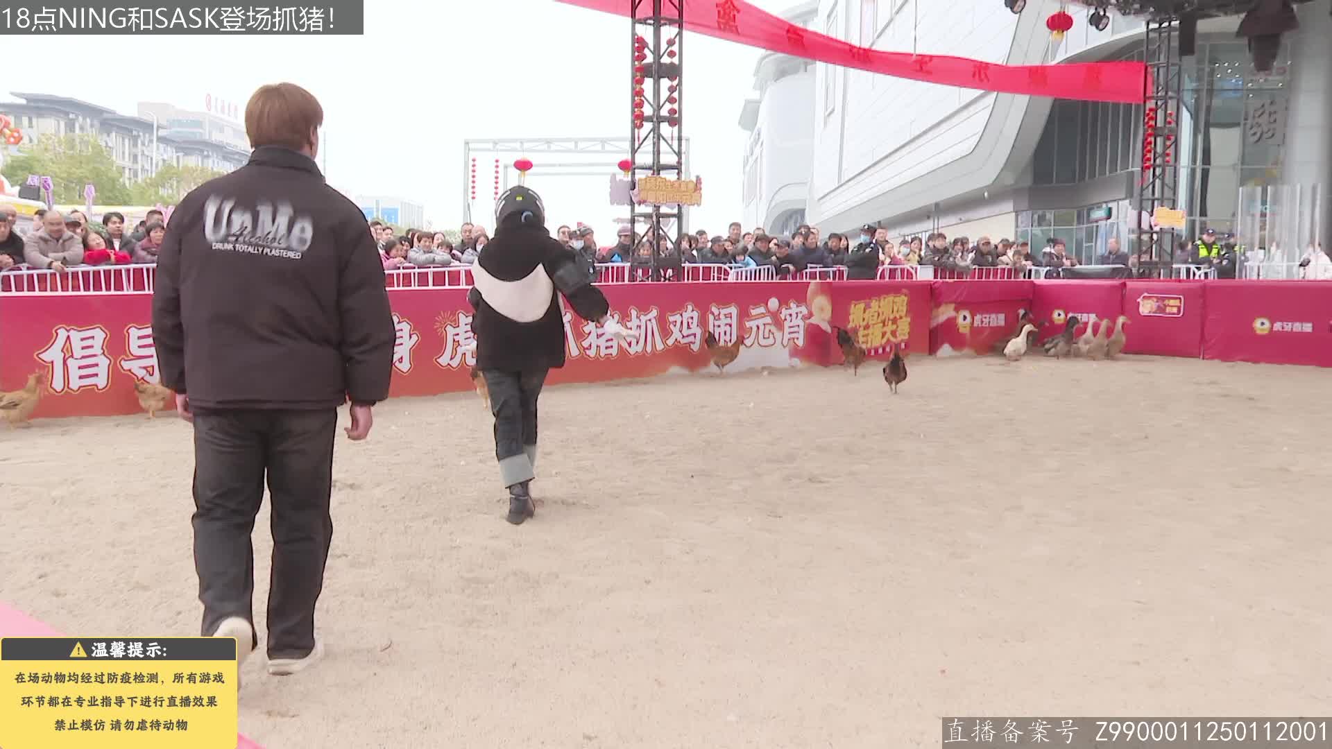 抓猪抓鸡群众娱乐赛Day3