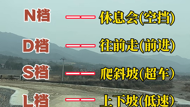 自动挡 档位上的字母代表的什么作用？ #汽车知识分享