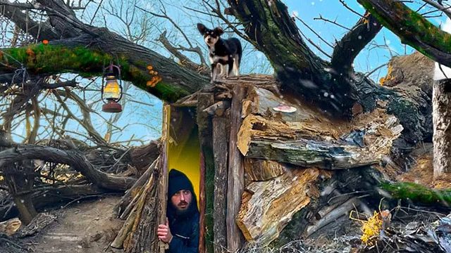 暴风雪来袭，小伙带着狗狗荒野生存，为躲避极寒天气和野兽袭击，就地取材搭建临时庇护所