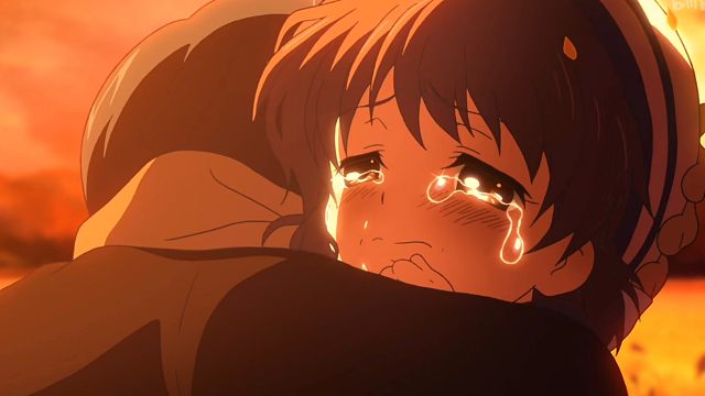 后面几集基本上就是哭着看完的，眼泪根本止不住的往下流，我真的没想到我竟然能哭成个泪人