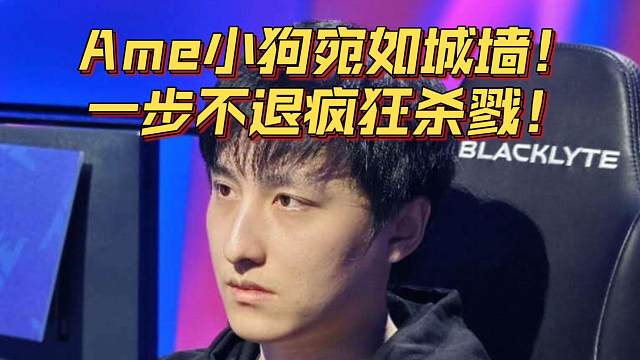 《Ame小狗宛如城墙！一步不退疯狂杀戮！》刀塔名画 裂变宇宙4