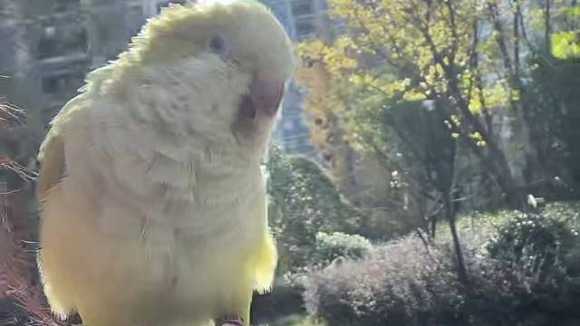 今天太阳真真不错