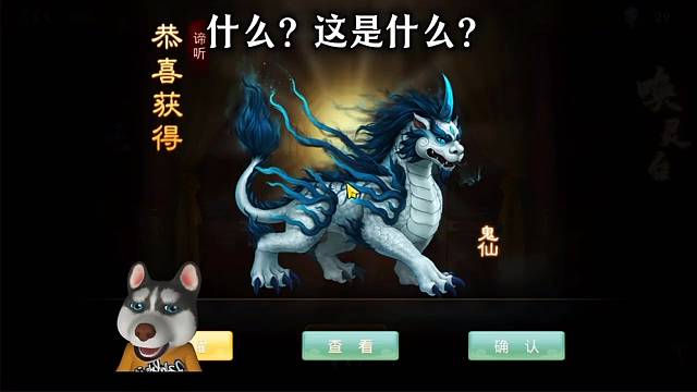 问道手游：什么？这是什么？