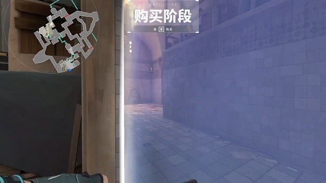 队友不明所以，以为有高手带