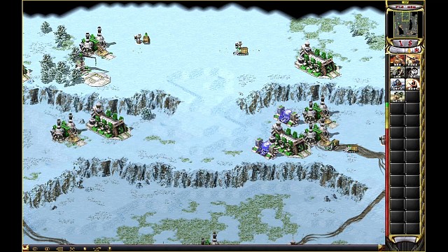 天天挨打，新手小白菜一枚