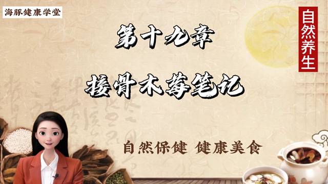 叮呤！请看接骨木莓笔记（上）