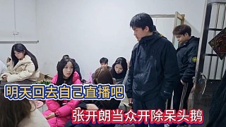 明天回去自己直播吧，張開朗當(dāng)眾開除呆頭鵝！