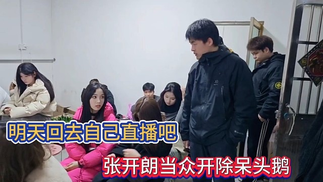 明天回去自己直播吧，张开朗当众开除呆头鹅！
