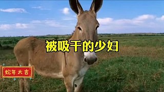 老王給兒子的兒子逮螞蚱