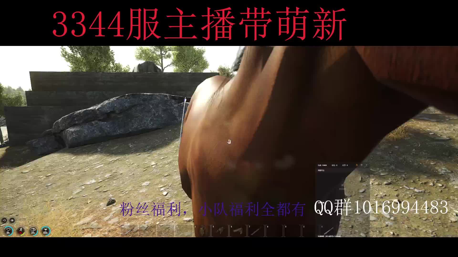 3344服务器,皇城龙骧，欢迎大家加入！片段1