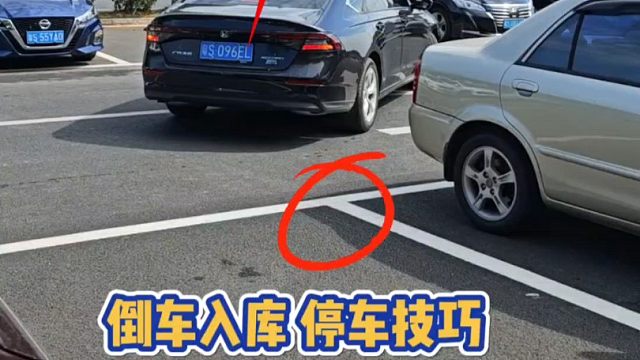 现实版倒车入库，斯令现场演示