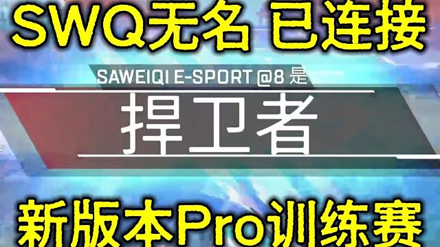 无名加入SWQ首秀吃鸡，三枪男配合赏心悦目