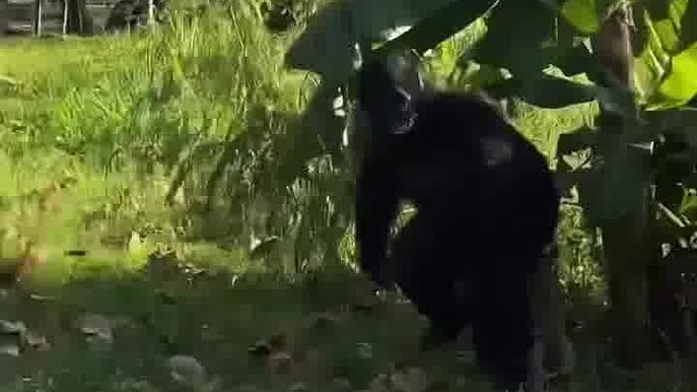 老外玩闹，笑到生活全乱套咯