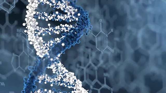 记忆力衰退总是忘东西吗？