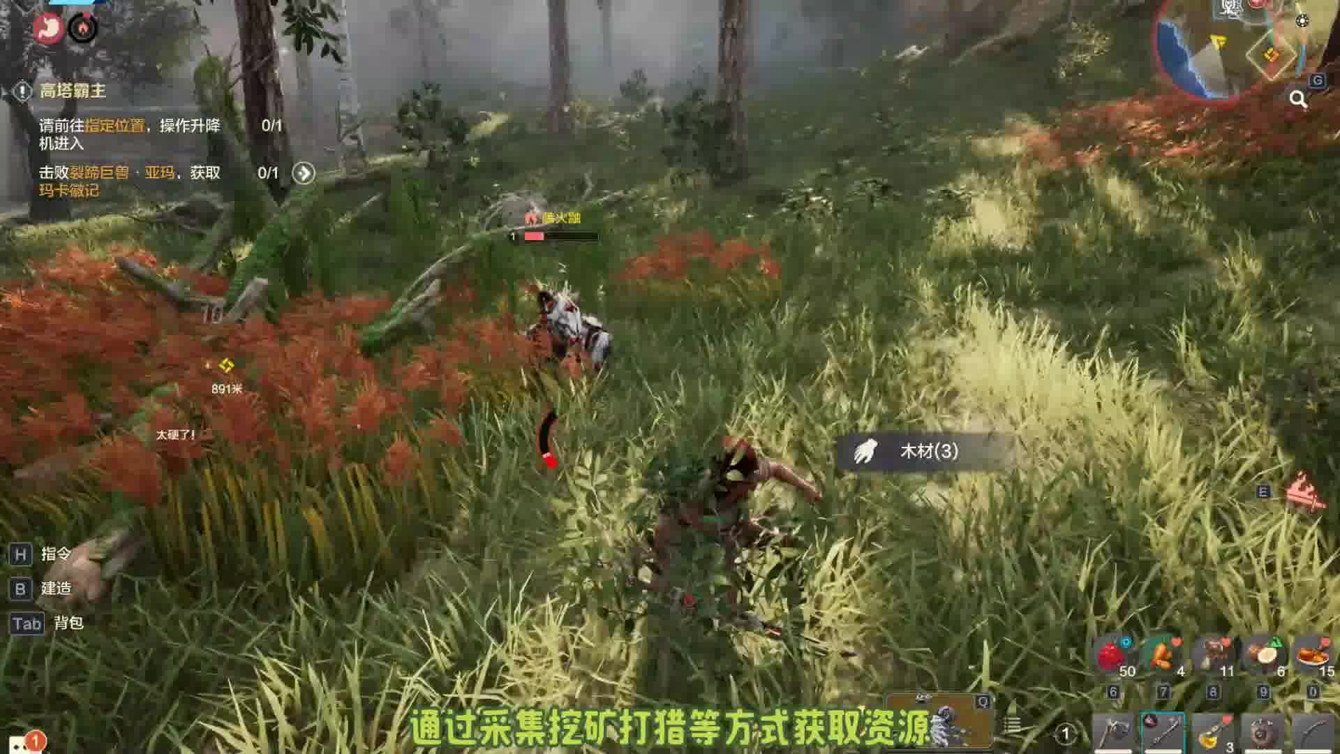 什么 你居然把boss头带回家了？